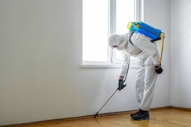 Gamerco, NM Pest Control Company