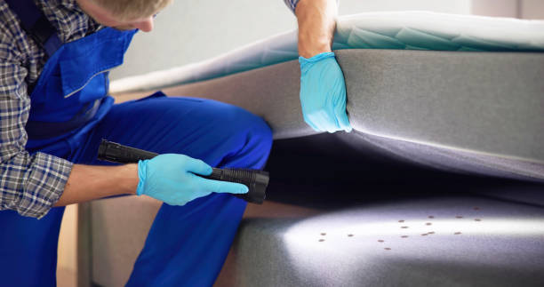 Pest Control for Restaurants in Gamerco, NM