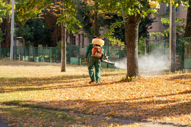 Best Affordable Pest Control Services  in Gamerco, NM